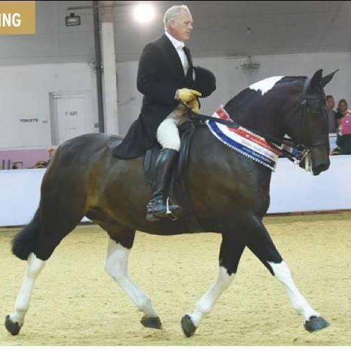 19105631_1954508358102072_2349793739439596767_n 19105631_1954508358102072_2349793739439596767_n