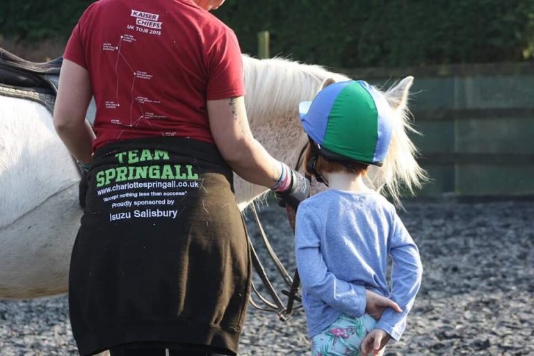 springall1 springall1