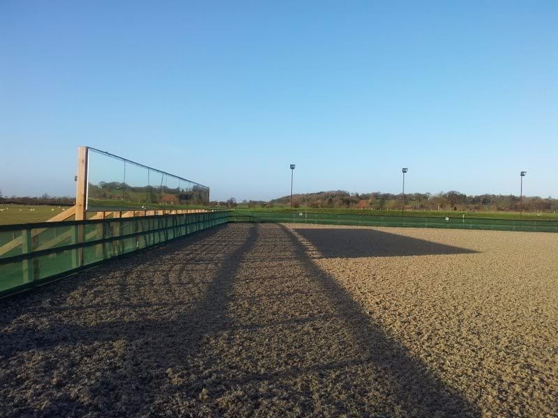 cavallo3