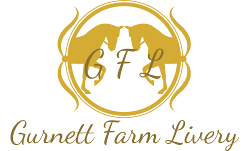 SmallLogo